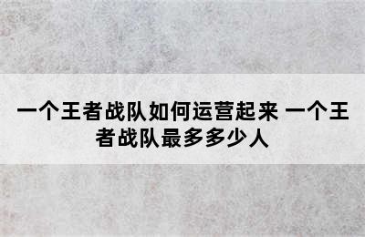 一个王者战队如何运营起来 一个王者战队最多多少人